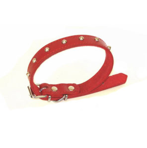 product-front