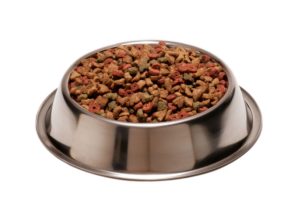 Dupy Cat Gatos 20kg - Image 2
