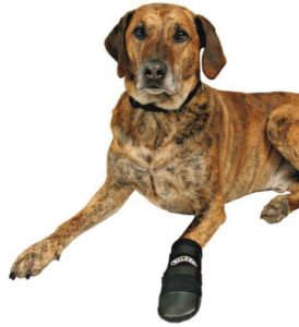 TRIXIE Walker Care Protective Boots Προστατευτικές Μπότες - Image 2
