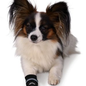 TRIXIE Walker Care Comfort Protective Boots Προστατευτικές Μπότες XS - Image 2