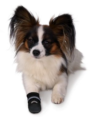 TRIXIE Walker Care Comfort Protective Boots Προστατευτικές Μπότες XS - Image 2