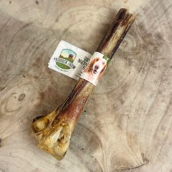 PADDOCK FARM Ostrich Metatarus Bone - Κόκκαλο Στρουθοκάμηλου - Image 2