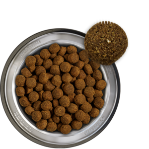 BELCANDO Buddy Baseline 12.5kg - Image 2
