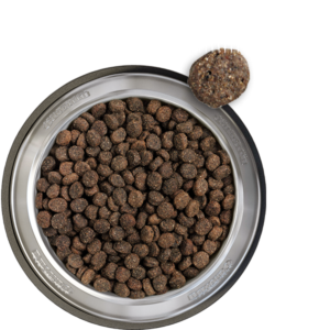 BELCANDO Explorer Baseline 12.5kg - Image 2