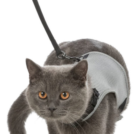 Trixie Soft Harness With Lead Μαλακό Σαμαράκι Με Οδηγό Γκρί - Image 2