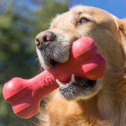 KONG Goodie Bone Large 13-30kg - Image 2
