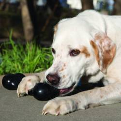 KONG Extreme Goodie Bone Medium 7-16kg - Image 2