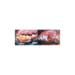 PRODEN Plaque Off Dental Croq-Bites Κροκέτα 150gr - Image 2