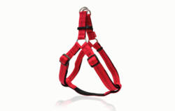 PET INTEREST Stripes Harness with Soft Filling Red