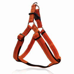 PET INTEREST Stripes Harness with Soft Filling Orange