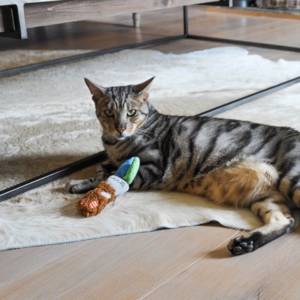 ROSEWOOD Little Nippers Cat Floppy Rabbit - Image 2