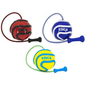 KONG Wavz Bunjiball Large
