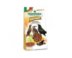 MANITOBA Paté Insect