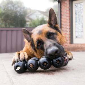 KONG Extreme Goodie Ribbon Medium 7-16kg - Image 2