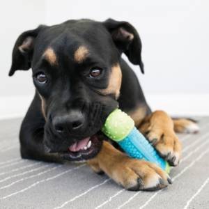 KONG CoreStrength Bone Small / Medium - Image 2