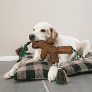 KONG Fetch Stix with Rope Medium - Image 2