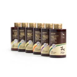 PQP Σαμπουάν Προστασίας από Παράσιτα Thyme Extract & Citronella Oil 300ml - Image 2