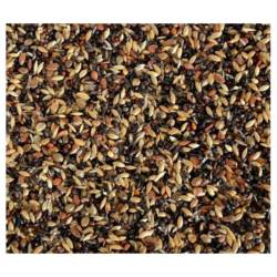 DELI NATURE Beyers 58 Mείγμα με σπόρους υγείας για καρδερίνες και σπίνους - Image 2