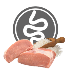 EXCLUSION Intestinal Pork And Rice Small Breed 2kg - Image 2