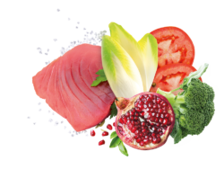 EXCLUSION Noble Grain Adult Tuna All Breeds - Image 2