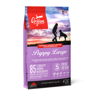 ORIJEN Puppy Large Breed 11,4kg