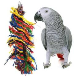 HAPPY PET The Bird House Preener - Image 2