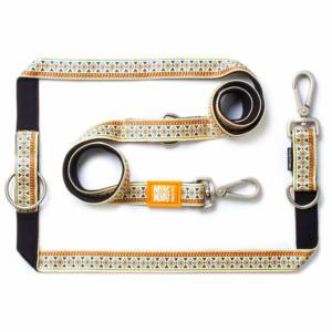 MAX & MOLLY Ethnic Multi Function Οδηγός Εκπαίδευσης