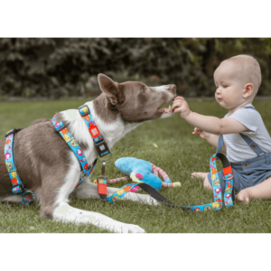 MAX & MOLLY Little Monsters Σαμαράκι Σκύλου - Image 2