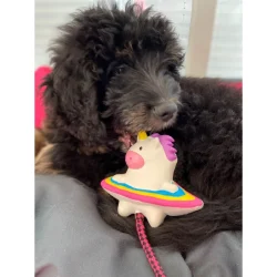 Παιχνίδι Max & Molly Snuggles Magic Mickey 13cm - Image 2