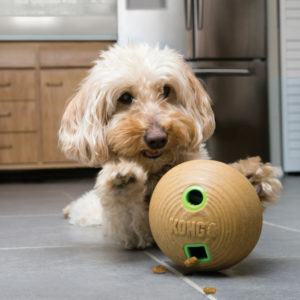 KONG Bamboo Feeder Ball - Image 2