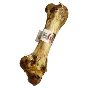 PADDOCK FARM Ostrich Dino Bone - Κόκκαλο Στρουθοκάμηλου Dino