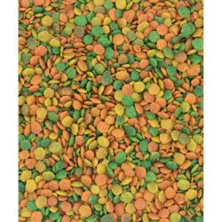 Versele-Laga Nutribird G14 Tropical Big Parakeets 1kg - Image 2