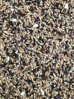Farma Friends Wild bird Special Mix Τροφή για αγριοπούλια 20kg - Image 2