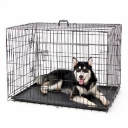 Dog Crate Συρμάτινο Κλουβί Σκύλων (ΕΚΠΤΩΣΗ -30% Για παραλαβή απο το κατάστημα)