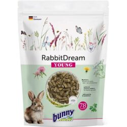 Bunny Rabbit Dream Young